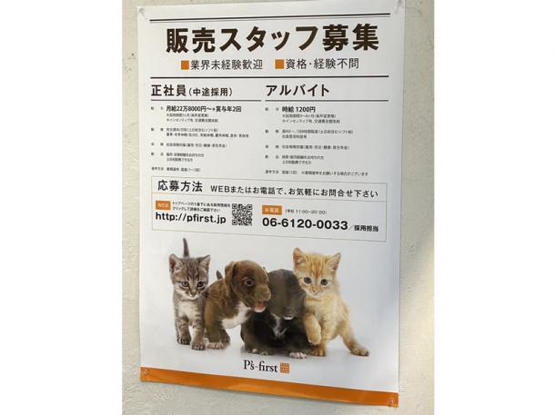 ペットショップに貼られていた求人広告