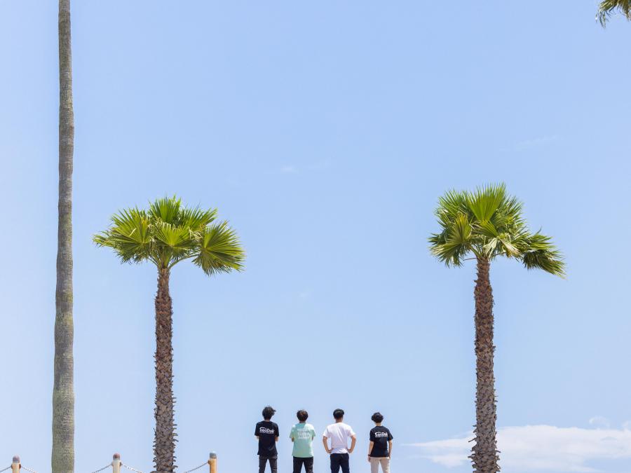 写真