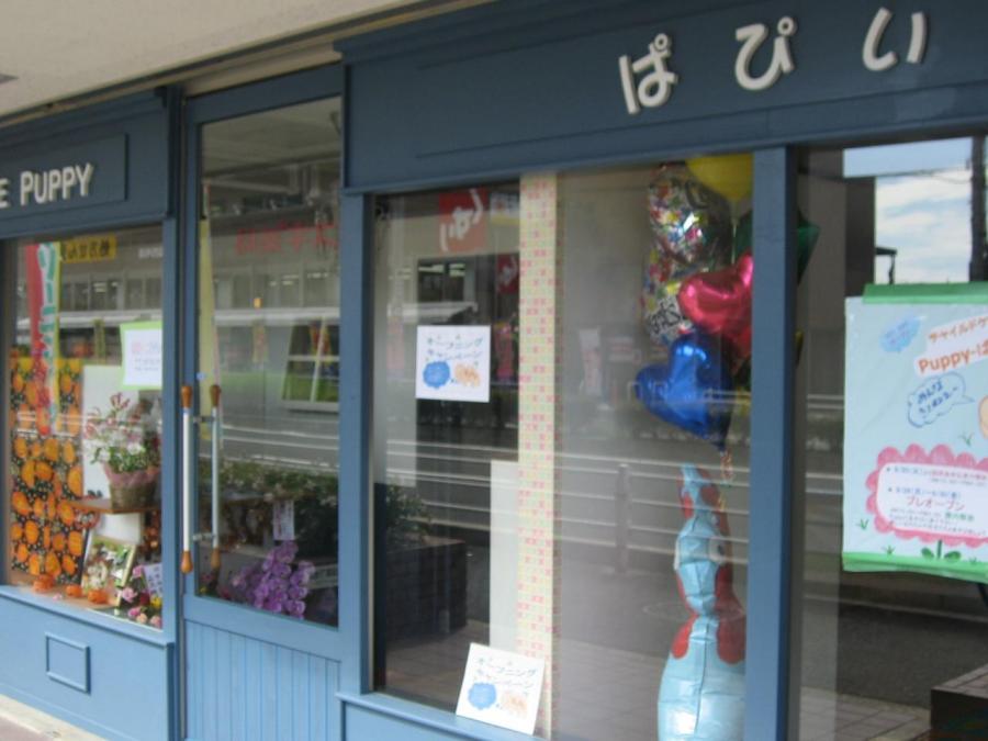 写真